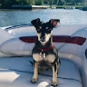 Meet your Posher, Carmen